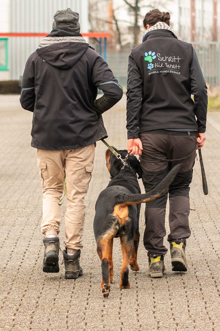 Schritt für Schritt - Mobile Hundeschule